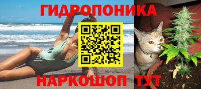 индика Рязань