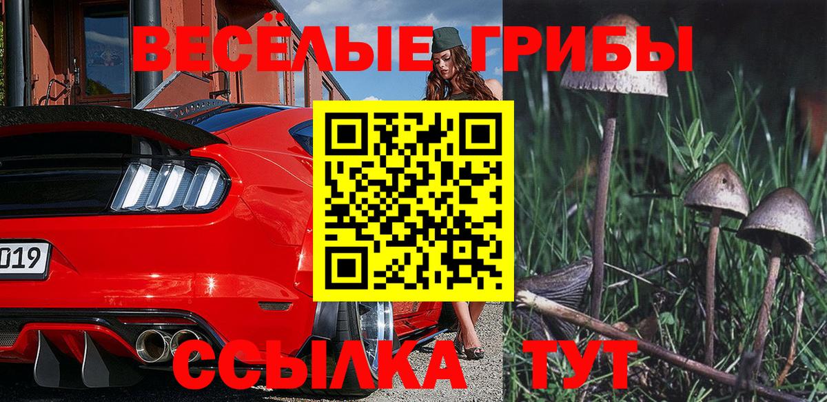 Псилоцибиновые грибы Psilocybe Тавда